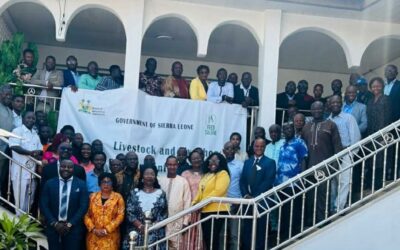 Strengthening Livestock Agribusiness Readiness: SLeCAD at the LLDP Startup Workshop