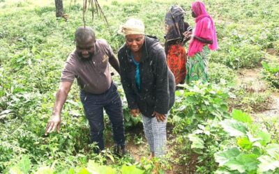 SLeCAD Drives Agribusiness Growth Through Opportunity Salone Project in Port Loko District