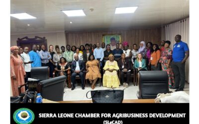 Strengthening Nutrition Governance in Sierra Leone: SLeCAD Participates in SUN National Coordination Meeting 2026