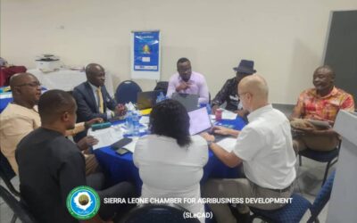Strengthening Land Governance in Sierra Leone: SLeCAD Joins National Multi-Stakeholder Platform